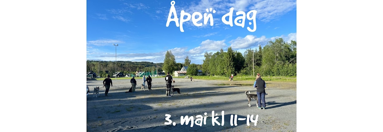 Åpen dag i Varde IL Trekkhund
